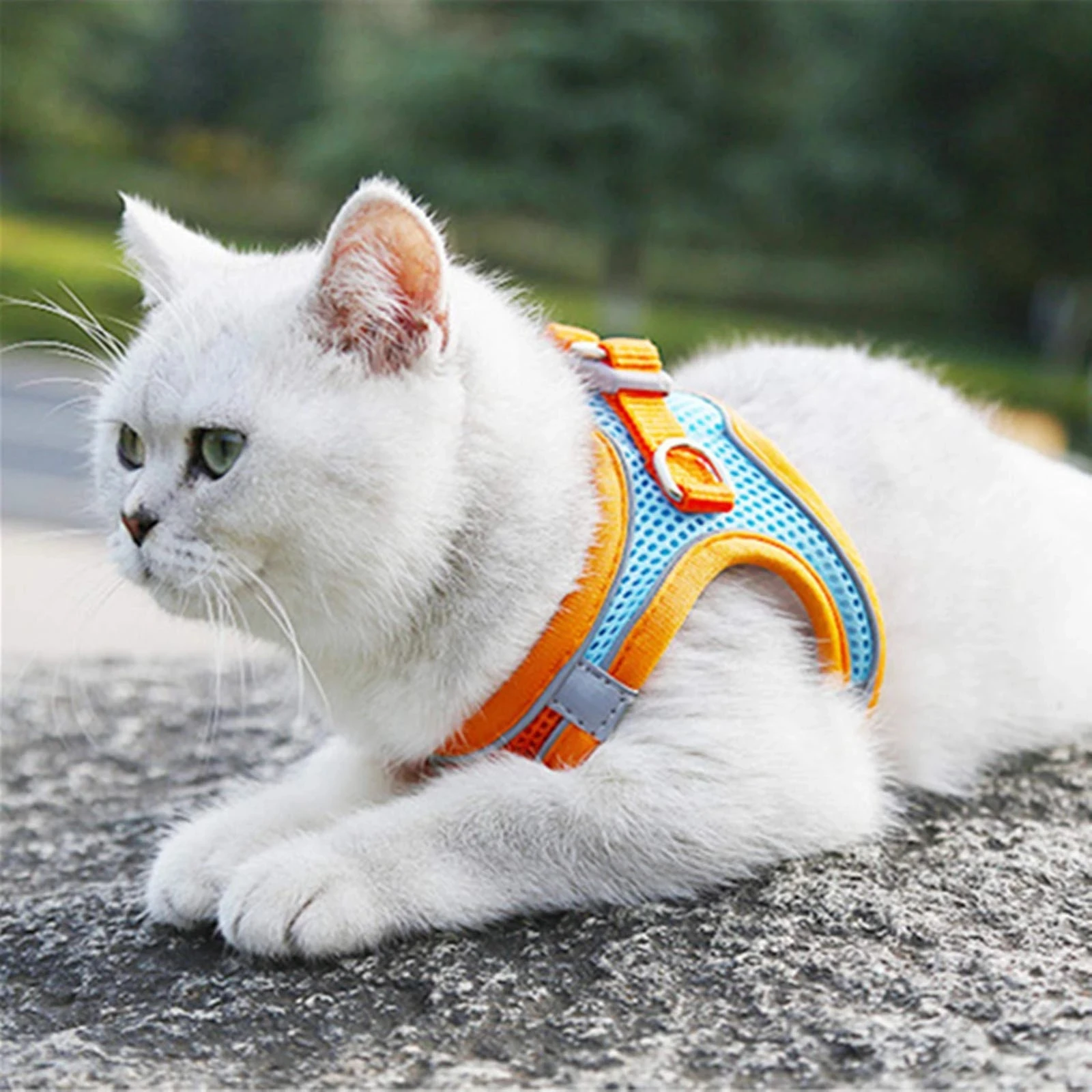 Cat Harness - Adjustable Pet Harness for Cats Small Dogs