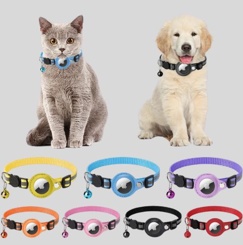 Pet Accessories